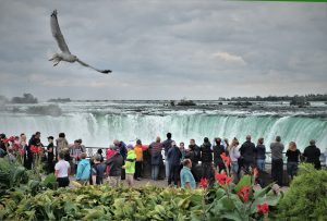 people taking picture of waterfalls under cloudy sky